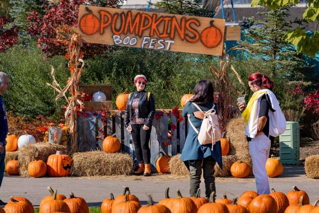 BooFest 2025